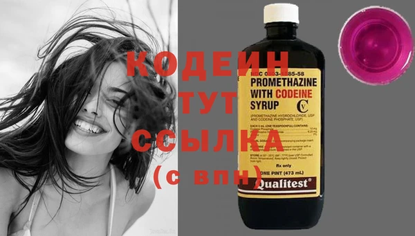 хмурый Магас