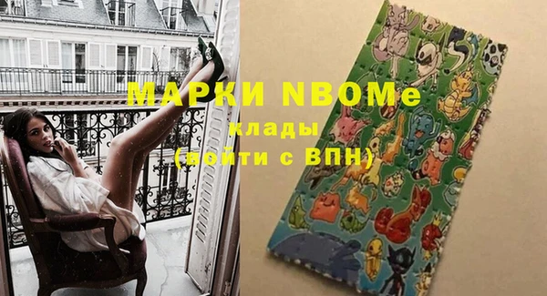 хмурый Магас