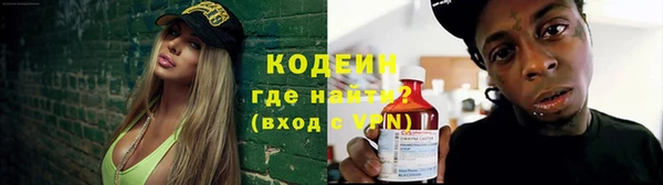 хмурый Магас