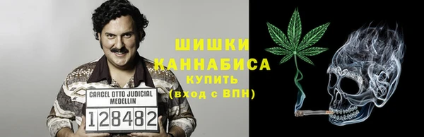 хмурый Магас