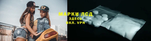 хмурый Магас