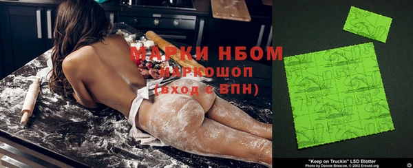 хмурый Магас