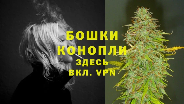 хмурый Магас
