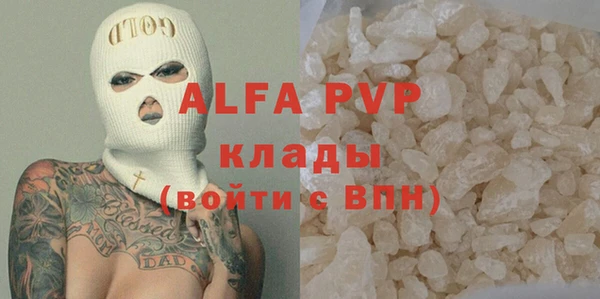 хмурый Магас